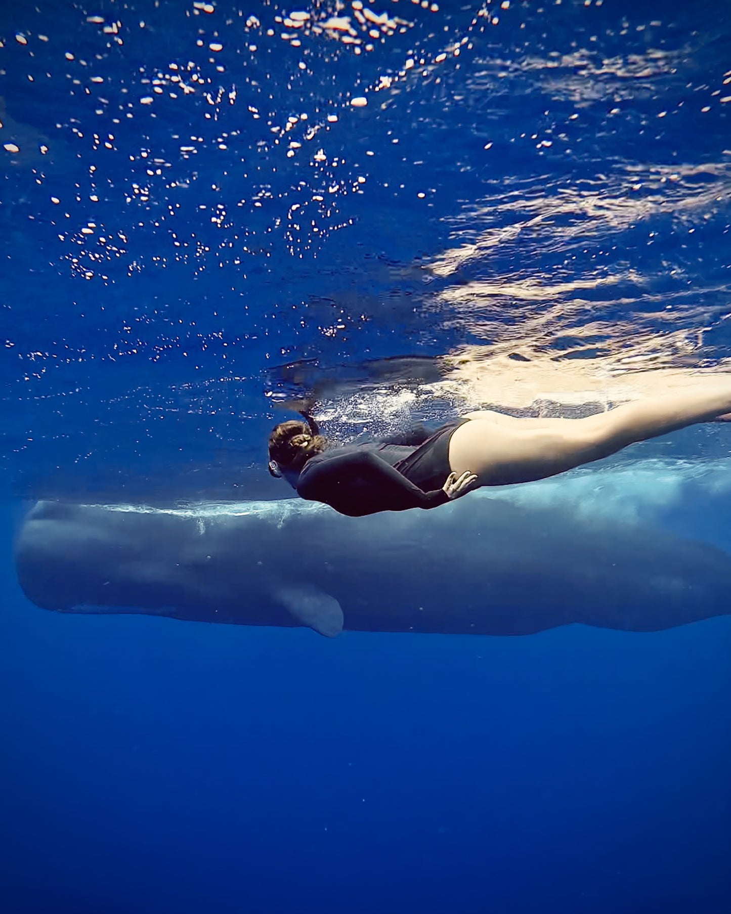 Maiô Manga Longa Lily Marinho